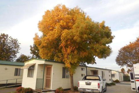 Wodonga Caravan & Cabin Park - Broome Tourism 0