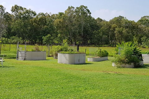 Hay Point Country B&B - Accommodation NSW 2