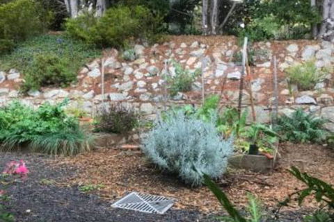 Alpine Aspects - Northern Rivers Accommodation 6