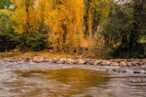 Alpine Aspects - Northern Rivers Accommodation 5