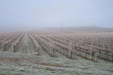 Vineyard Cottage BnB - Holiday Jervis Bay 5