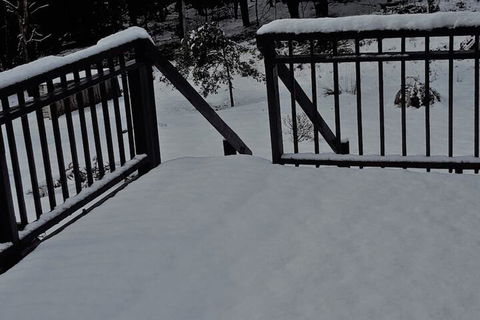 Cradle Alpine Retreat - Hobart Tourism 1