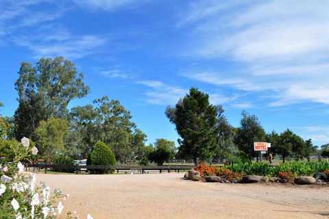 Sunflower Motel - Accommodation Sunshine Coast 2
