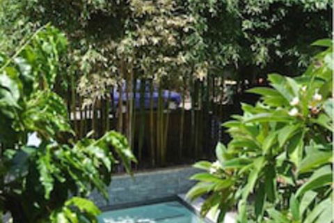 Plantation Red Hill Brisbane - Tourism Townsville 1