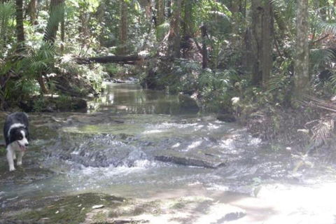 Stay At LP Montville - Brisbane Tourism 4