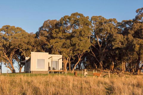 Dragonfly Cottages - Northern Rivers Accommodation 5