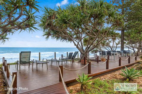 Sapphire Owl - Townsville Tourism 5