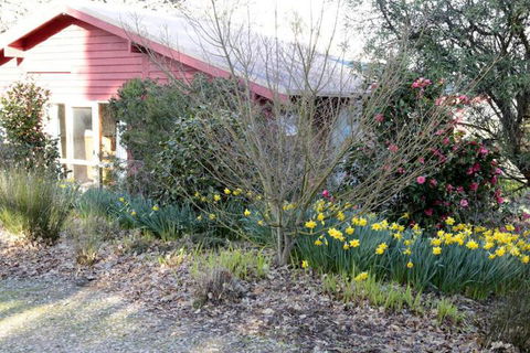 Jamieson Valley Retreat - Holiday Melbourne 3