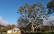 Jamieson Valley Retreat - thumb 5