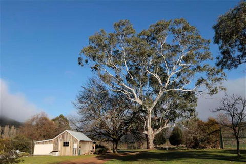 Jamieson Valley Retreat - Holiday Melbourne 5