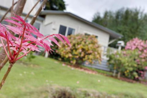 Montpellier Petite B+B - Accommodation Redcliffe 2