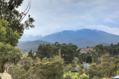Montpellier Petite B+B - Accommodation Redcliffe 4