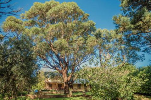Secluded Homestead Amongst The Trees - YWait Travel 3