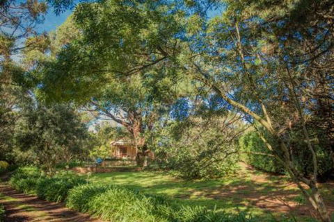 Secluded Homestead Amongst The Trees - YWait Travel 6