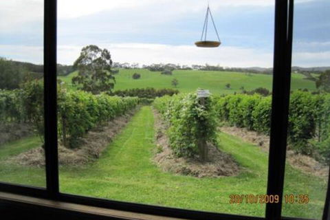 Pennyroyal Raspberry Farm & Cidery - Holiday Jervis Bay 0