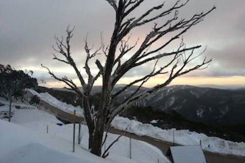 Snowflake 12 - WA Accommodation 0