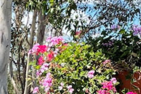 Crows Nest Motel - VIC Tourism 0