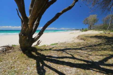 Serenity 3 Bedroom Holiday Apartment - Whitsundays Tourism 0