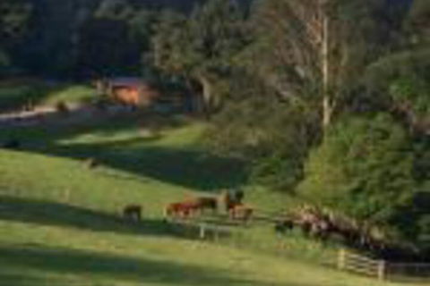 Amaroo Valley Springs - NT Tourism 0