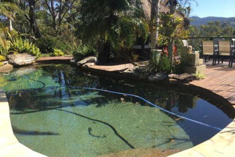 Hinterland Hideaway - Tweed Heads Accommodation 3