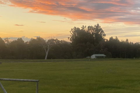 Manyat Peak Cottages - Accommodation Ballina 1