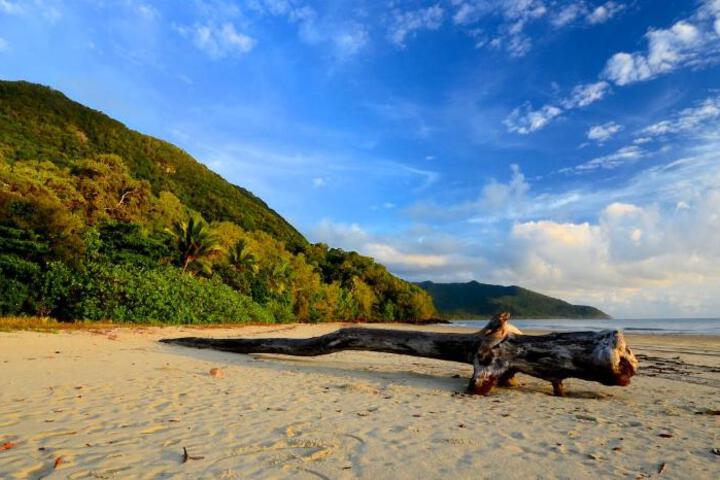 Daintree Rainforest Beach House - thumb 7