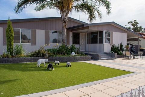 Chrissies Palace Hostel - Casino Accommodation 1