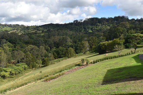Mapleton Springs - Brisbane Tourism 2