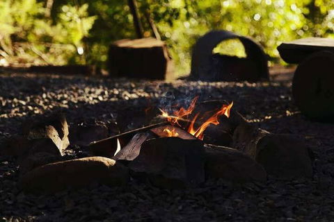 Carawirry Forest Escape - Accommodation Hamilton Island 5
