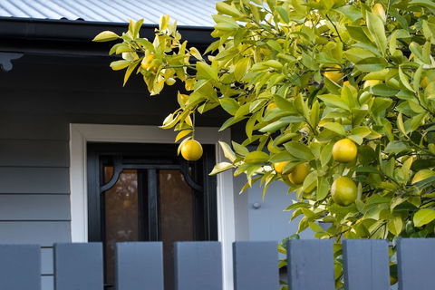 The Lemontree - WA Accommodation 0