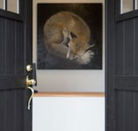 Fox on the Run - Motel Kilmore - Hobart Tourism