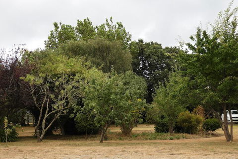 Somerset Caravan Park - Casino Accommodation 4