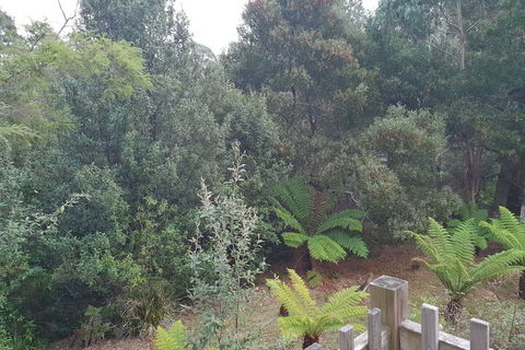 Roland B&B - Victoria Tourism 1