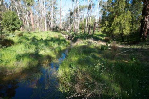 Stonehill Retreat In The Yarra Valley - Yamba Accommodation 2