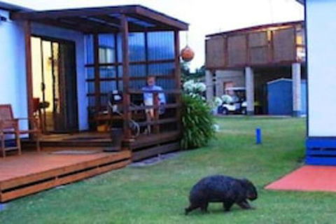 BIG4 Kelso Sands Holiday Park - Accommodation NSW 0