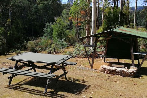 Minnow Cabins - Surfers Gold Coast 6