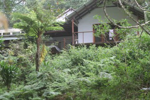 Peaceful Rainforest Wildlife Retreat - Northern Rivers Accommodation 3