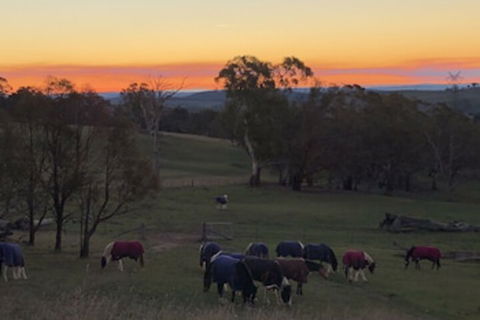 High Country Trail Rides & Farm Stay - Accommodation VIC 0