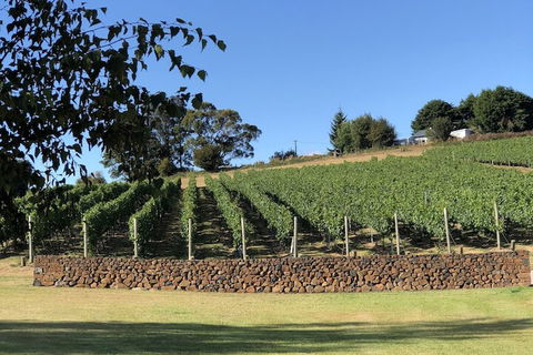The Cottage At 3 Willows Vineyard - Yamba Accommodation 6