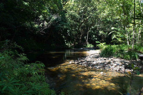 Noah Creek Eco Huts - Accommodation Redcliffe 4