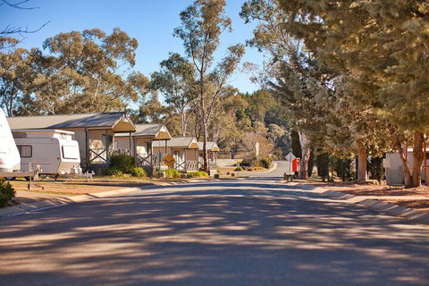 Eaglehawk Holiday Park Canberra - Carnarvon Accommodation 4