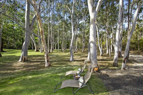 Azaltie - Accommodation Newcastle 4