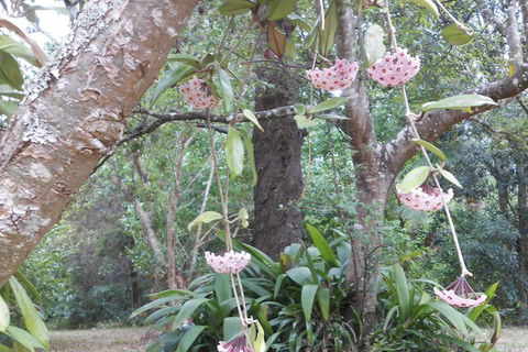 Crabbes Creek Cottages - Northern Rivers Accommodation 5