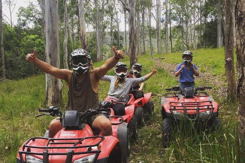 Mount Seaview Resort - Accommodation Ballina 3