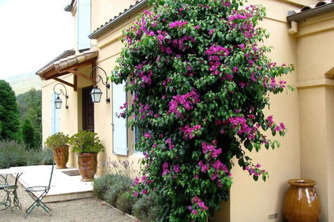 Casa Valeri - Kawana Tourism 3