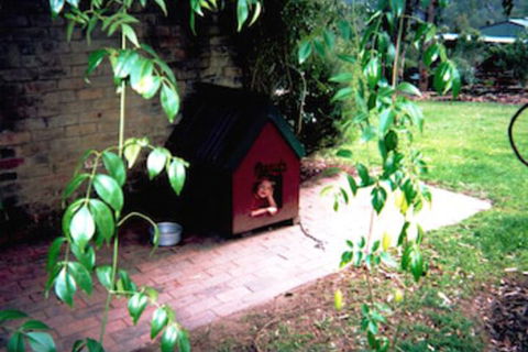 Kurrajong Trails And Cottages - Broome Tourism 1