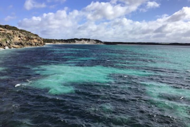 Vivonne Bay SA Victoria Tourism