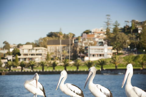 The Sebel Harbourside Kiama - Holiday Melbourne 1