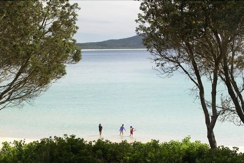 Reflections Holiday Parks Seal Rocks - Tweed Heads Accommodation 4