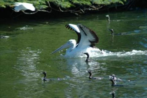 Alexander Lakeside Bed & Breakfast - Hervey Bay Accommodation 5